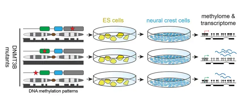 Hannah Long & Duncan Sproul Research Project Image 2025