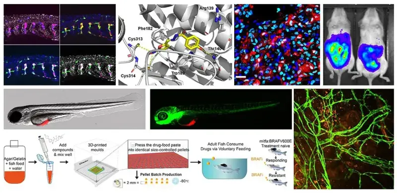 Liz Patton Scientific Themes Collage