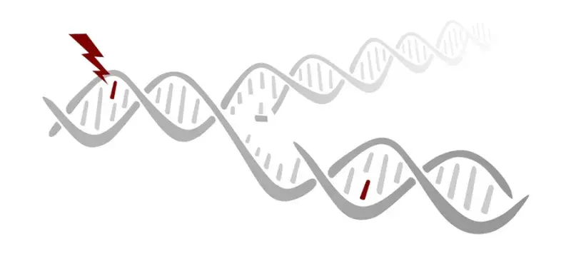 Martin Taylor & Ava Khamseh Research Project Image 2025