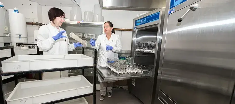 Media Preparation Washup - two people working in lab