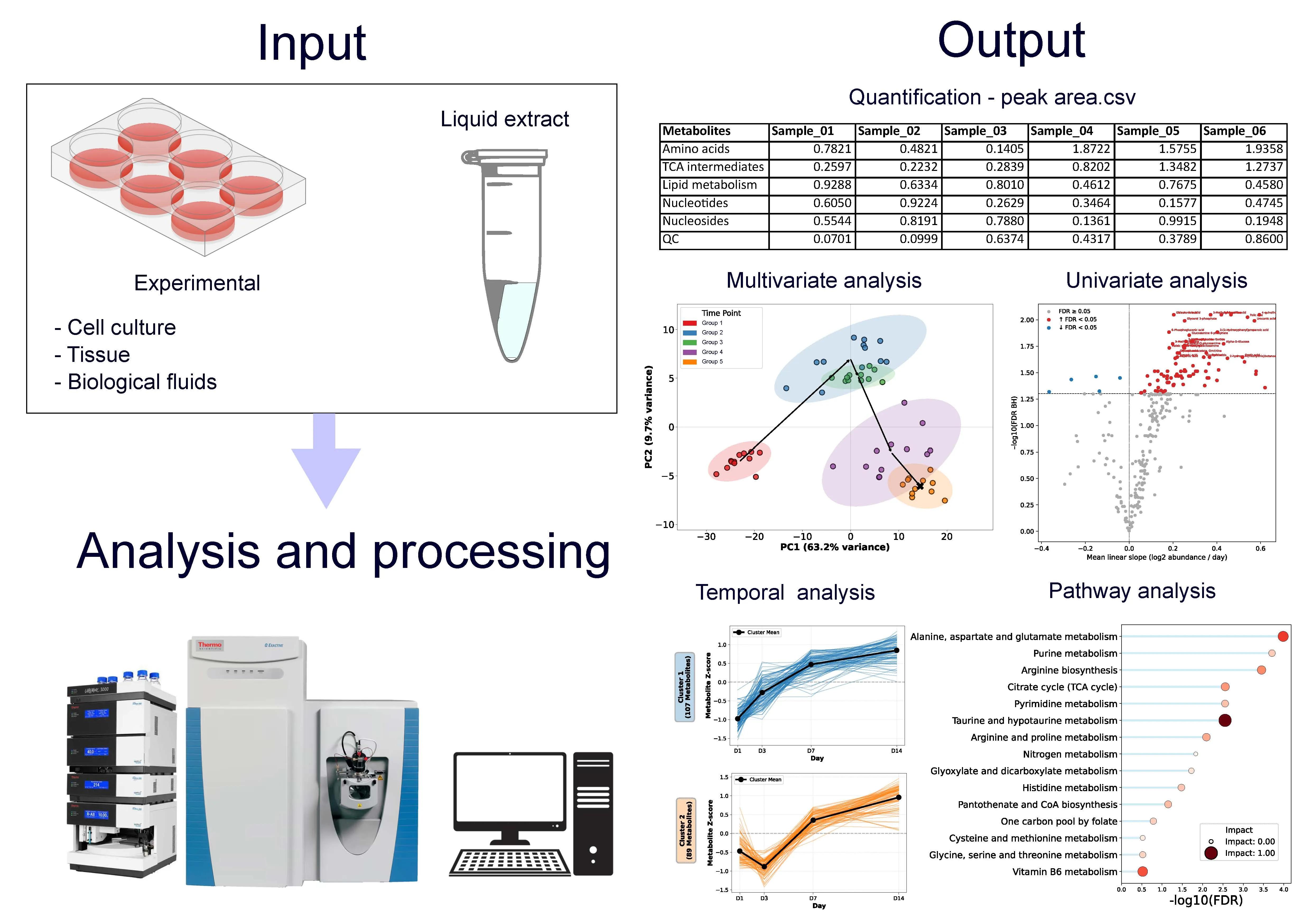 Metaboloics Workflow