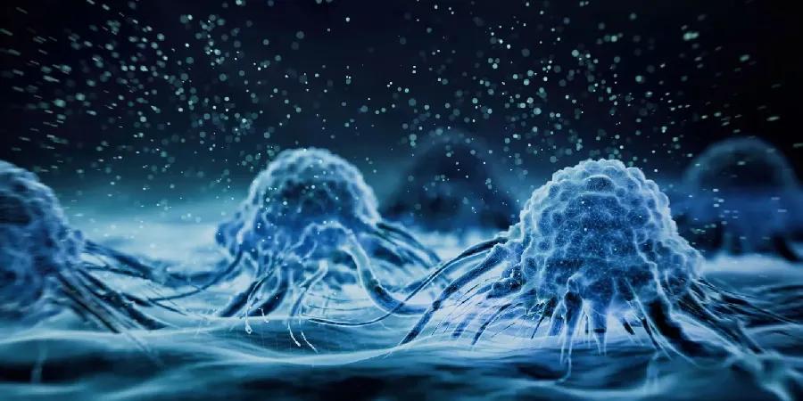 Cancer cell view