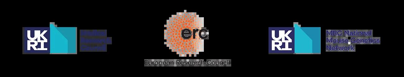UKRI Medical Research Council, European Research Council and UKRI National Mouse Genetics Network logos