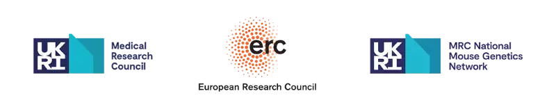 UKRI Medical Research Council, European Research Council and UKRI National Mouse Genetics Network logos