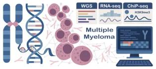 Aneta Mikulasova Research Image