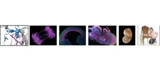 Andrew Jackson Research Project Image 2025