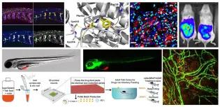 Liz Patton Scientific Themes Collage