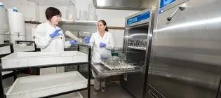 Media Preparation Washup - two people working in lab