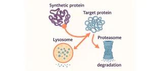 Andrew Wood Research Project image