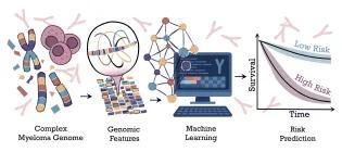 Aneta Mikulasova Research Project image