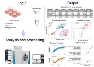Metaboloics Workflow