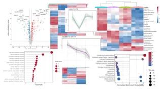 Collage of data output