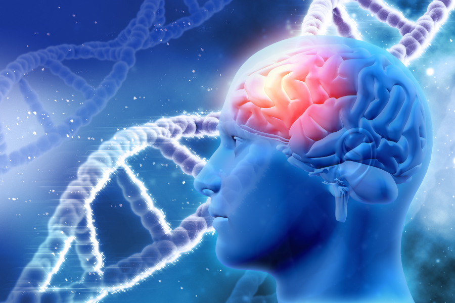 Image of a human brain with a representation of DNA in the background