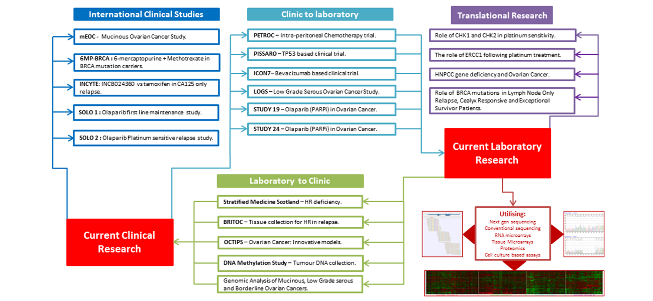 C.Gourley - Research Programme