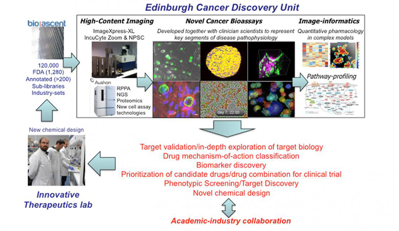 ECDU research diagram