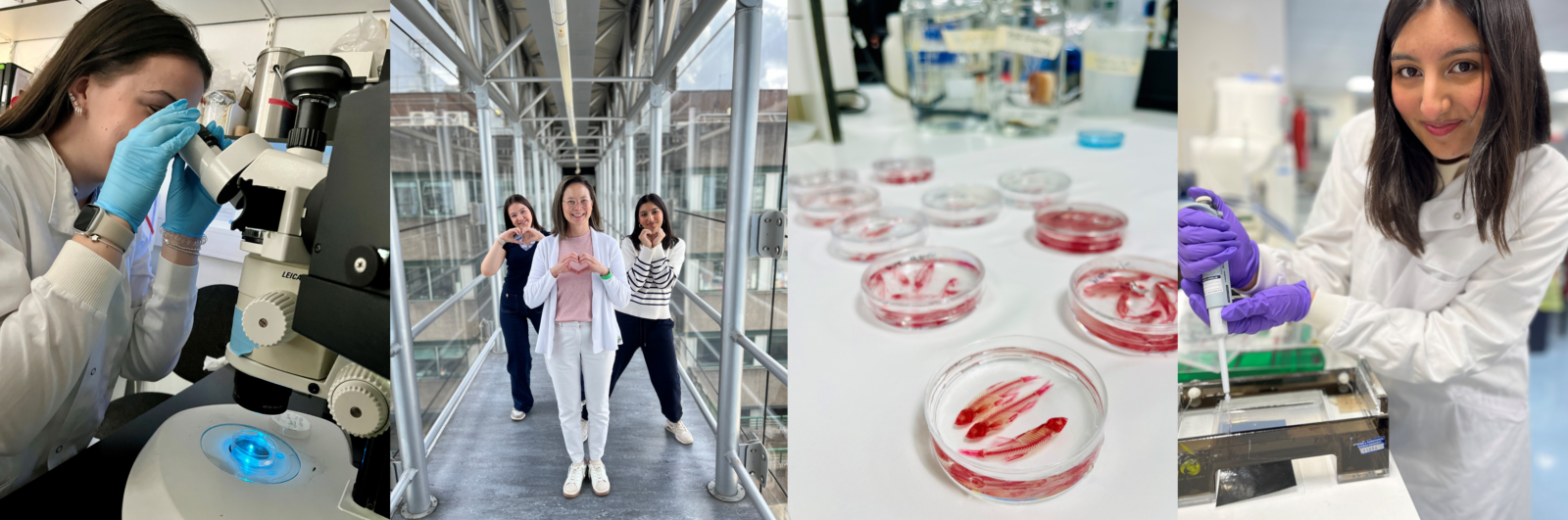 Rebecca Melville, Erika Kague and Amtul Musawir in the lab