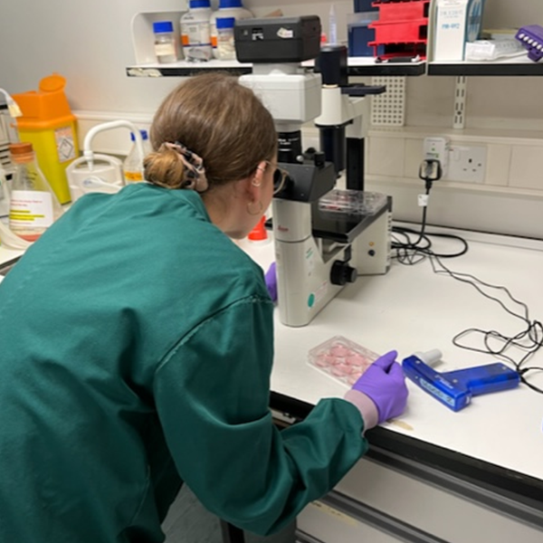 Elena Hein looking through a microscope