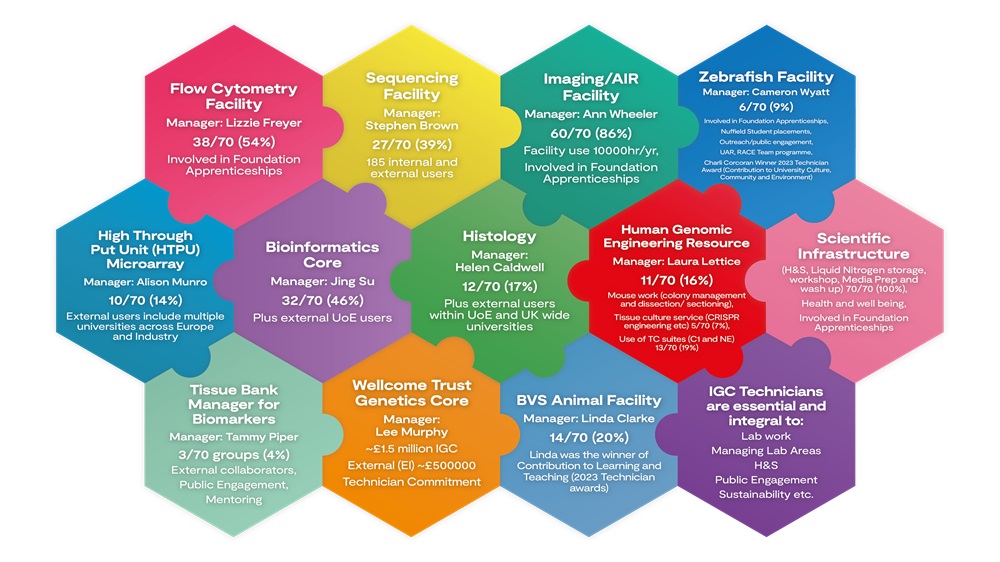 Jigsaw of technician roles