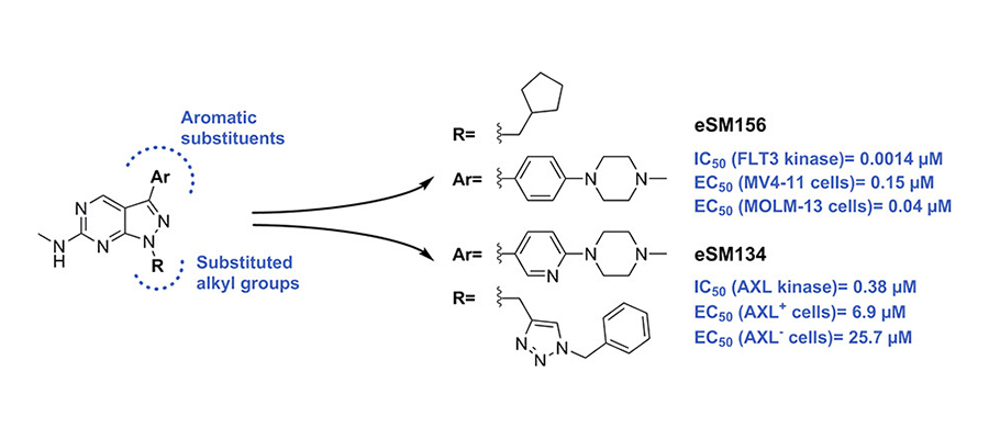 Novel inhibitors of oncogenic kinases
