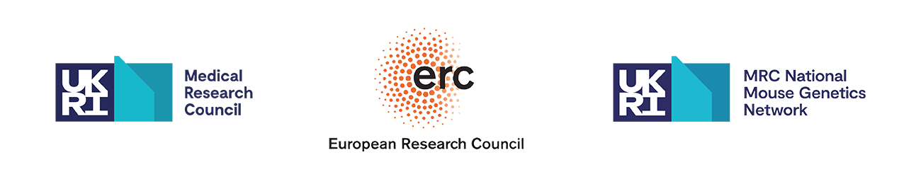 UKRI Medical Research Council, European Research Council and UKRI National Mouse Genetics Network logos